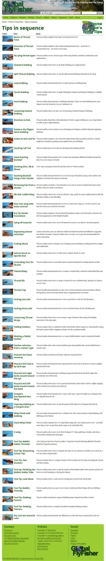 More than 50 More than 50