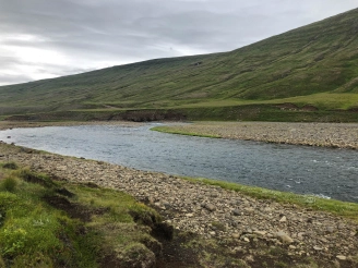 Endless pools like this Endless pools like this