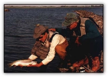 Bas and Marco Bas and Marco