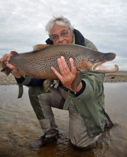 The author The author