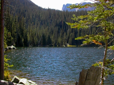 Nice location Nice location