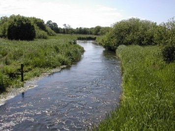 Fish the edges Fish the edges