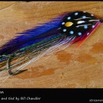 #11 Contusion - Bill Chandler #11 Contusion - Bill Chandler