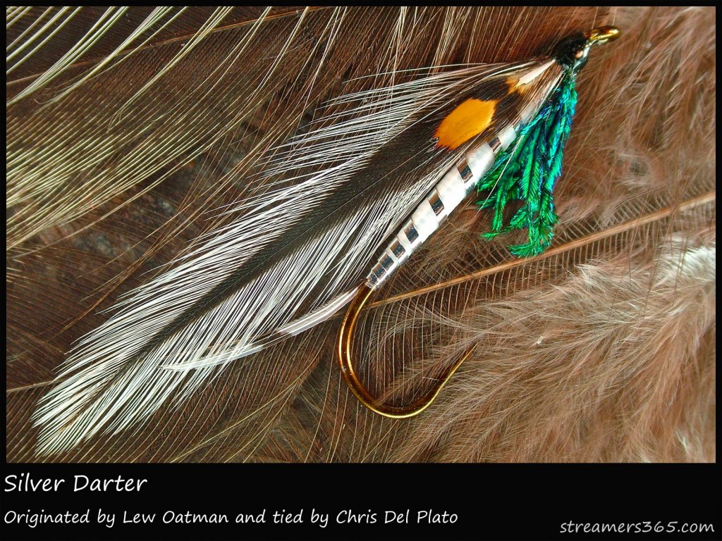 #24 Silver Darter - Chris Del Plato