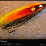#5 Finned Pheonix - Darren MacEachern