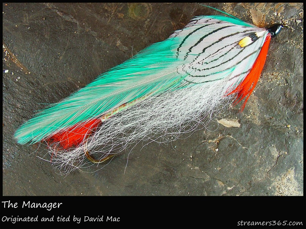 #7 The Manager - David Mac