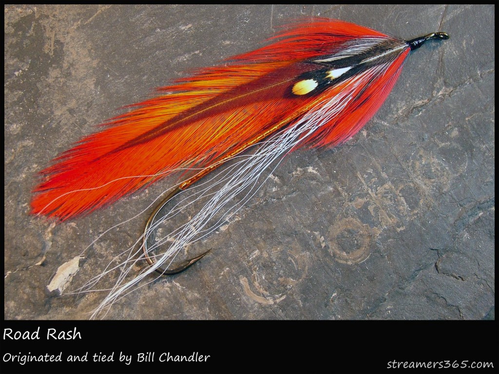 #35 Road Rash - Bill Chandler #35 Road Rash - Bill Chandler