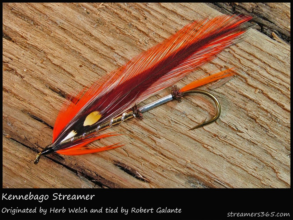 #67 Kennebago Streamer - Robert Galante