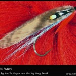 #94 Stewart's Hawk - Tony Smith #94 Stewart's Hawk - Tony Smith