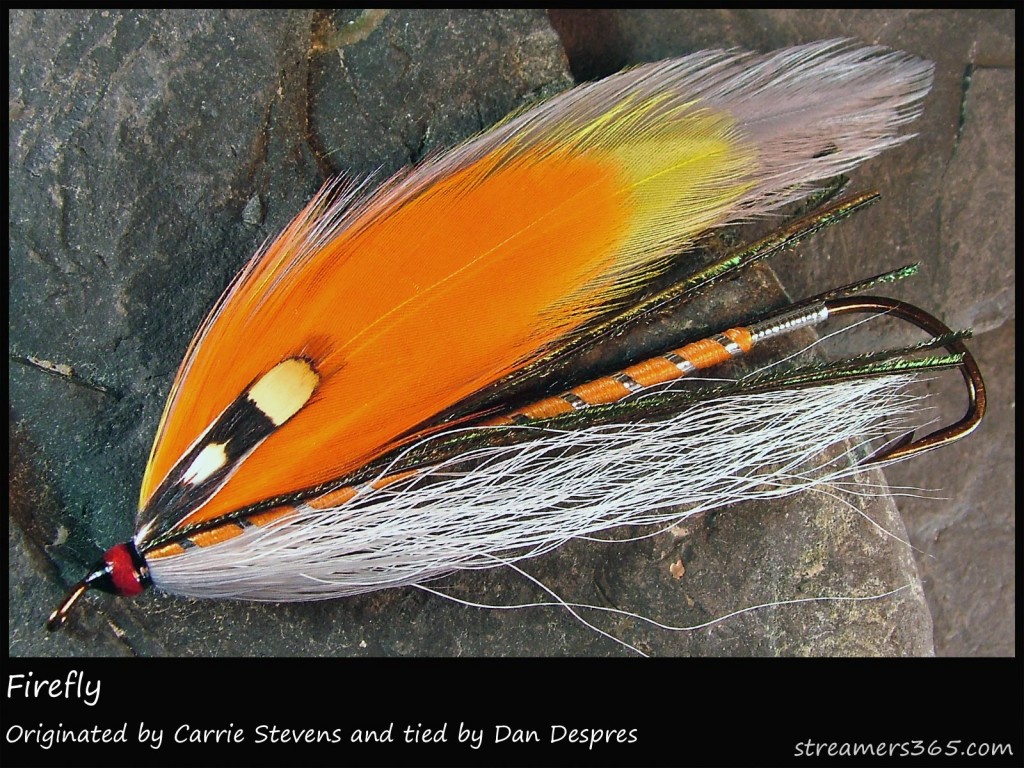 #217 Firefly - Dan Despres