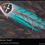 #267 Humes Bartail Smelt - Joel Stansbury #267 Humes Bartail Smelt - Joel Stansbury