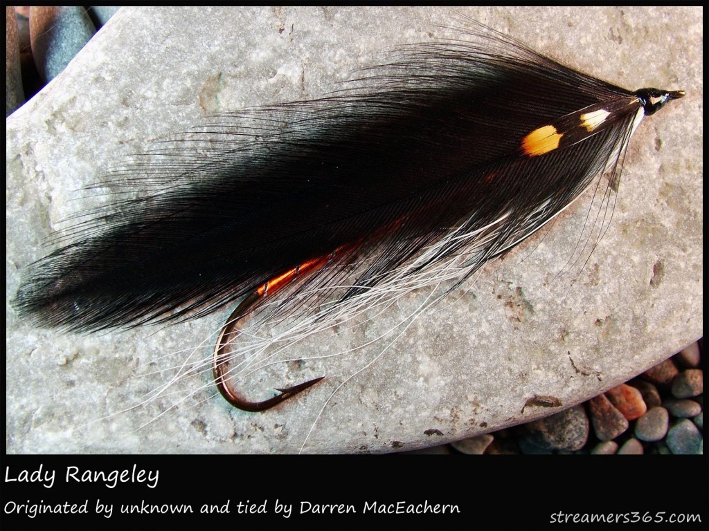 #280 Lady Rangeley - Darren MacEachern #280 Lady Rangeley - Darren MacEachern