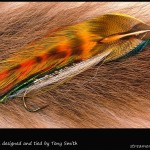 #332 Torrish - Tony Smith #332 Torrish - Tony Smith