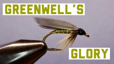 Video thumb for Greenwell’s Glory