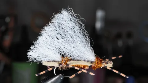 Video thumb for Chubby Chernobyl