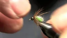 Video thumb for The Colorado Caddis