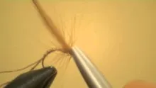 Video thumb for Tim's Mayfly Spinner