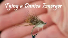 Video thumb for Danica Emerger 
