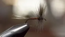 Video thumb for Catskill style Red Quill