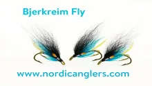 Video thumb for Bjerkreim Fly