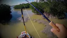 Video thumb for Everglades Redfish