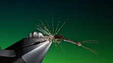 Video thumb for Tying a dry fly hackle using any type of hackle