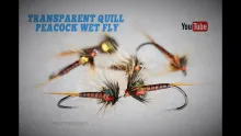 Video thumb for Transparent Quill Peacock Wet Fly