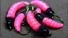 Video thumb for Hot Pink Bug