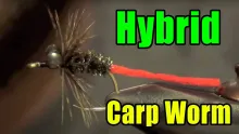 Video thumb for Hybrid Carp Worm
