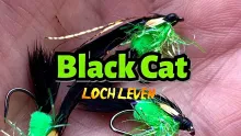 Video thumb for Black Cat