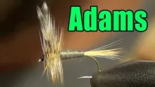 Video thumb for Adams Classic Dry Fly