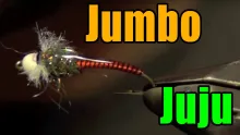 Video thumb for Jumbo Juju Chironomid