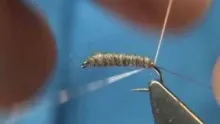 Video thumb for Frank Sawyer's Killer Bug