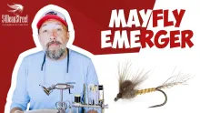 Video thumb for MayFly Emerger