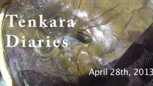 Video thumb for Tenkara Diaries, April 28th 2013
