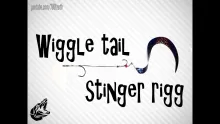 Video thumb for How to do a wiggle tail stinger rig!