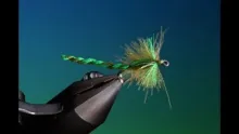Video thumb for Furled Damsel Nymph