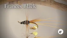 Video thumb for  Frances Black | Ívar's Fly Workshop