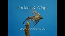 Video thumb for Glass Caddis Pupa