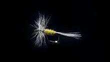 Video thumb for Gray Hackle Yellow