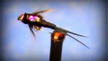 Video thumb for Copper John bead head nymph