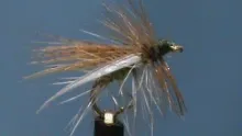Video thumb for Pocono Caddis