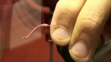 Video thumb for UV Wire Worm