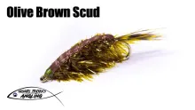 Video thumb for Olive Brown Scud