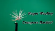 Video thumb for Roger Woolley - Compara Hackle