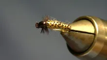 Video thumb for Caddis Larva