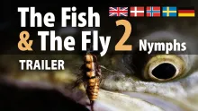 Video thumb for The Fish & The Fly 2 Nymphs 