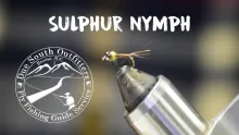 Video thumb for Sulphur Nymph