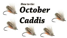 Video thumb for Steelhead October Caddis