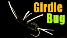 Video thumb for Girdle Bug Stonefly Nymph